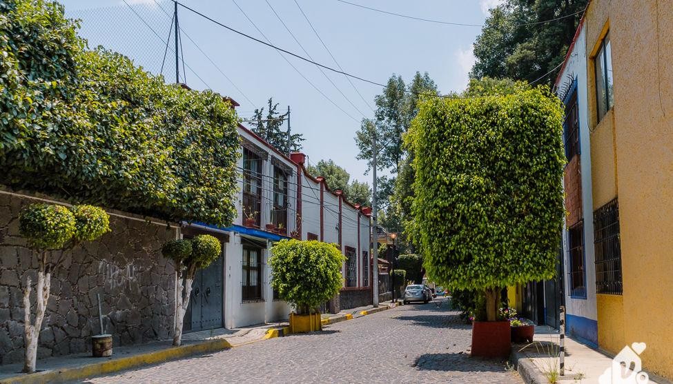 Quiet residential street with trees